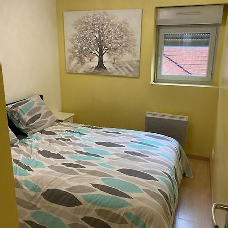 Bel Appartement Coeur De Ville Chalon-sur-Saône Kültér fotó